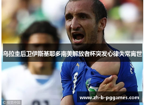 乌拉圭后卫伊斯基耶多南美解放者杯突发心律失常离世