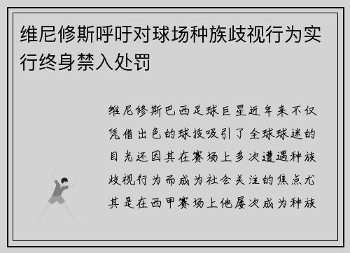 维尼修斯呼吁对球场种族歧视行为实行终身禁入处罚
